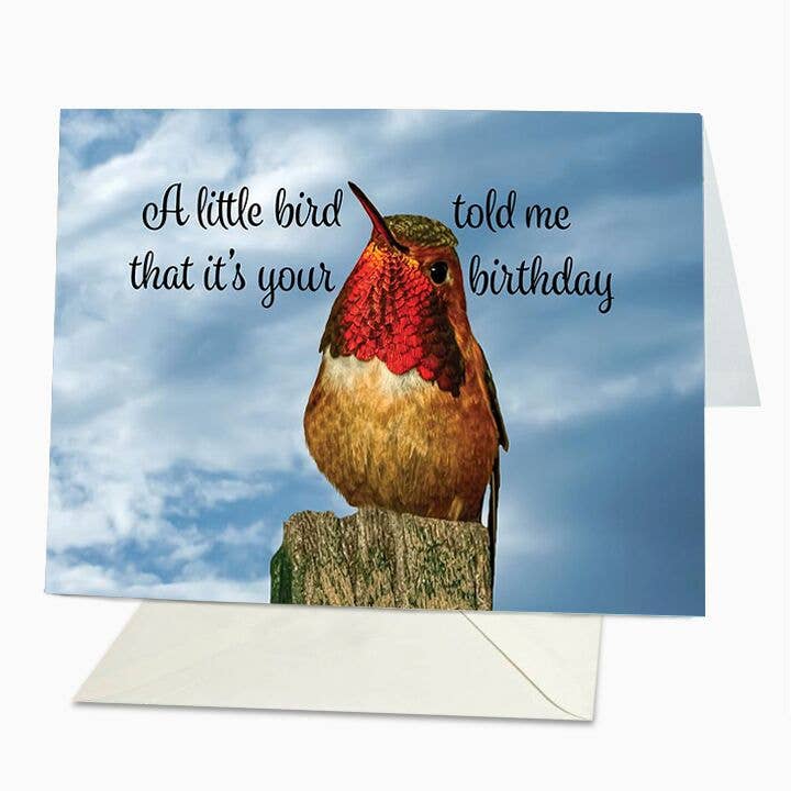Blank Inside Greeting Card A Hummingbird/'s Pink Dream